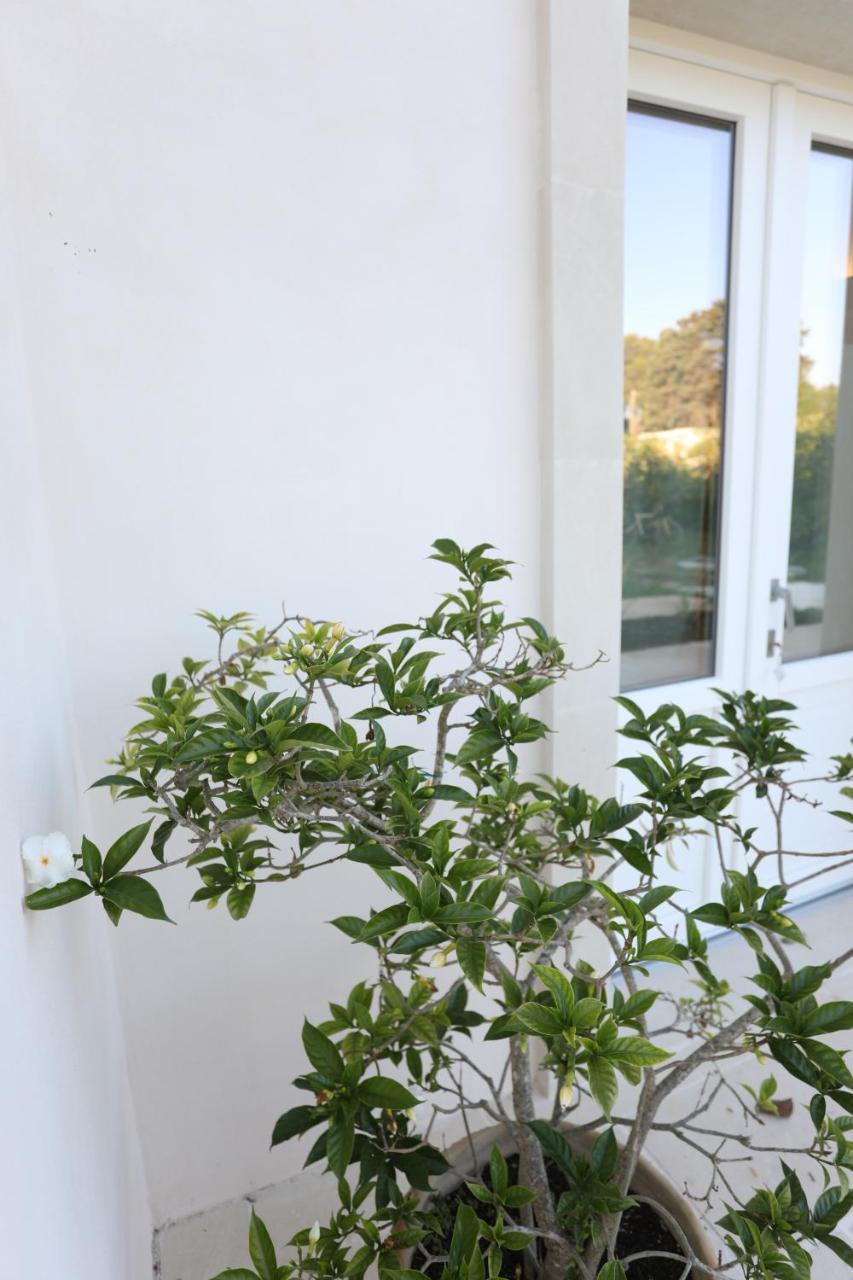 Podere 43 Charme B&B Otranto Exterior foto